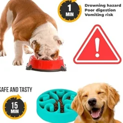 DTOPBUYAGE - Gamelle anti glouton bleu plateau interactif pour animaux compagnie