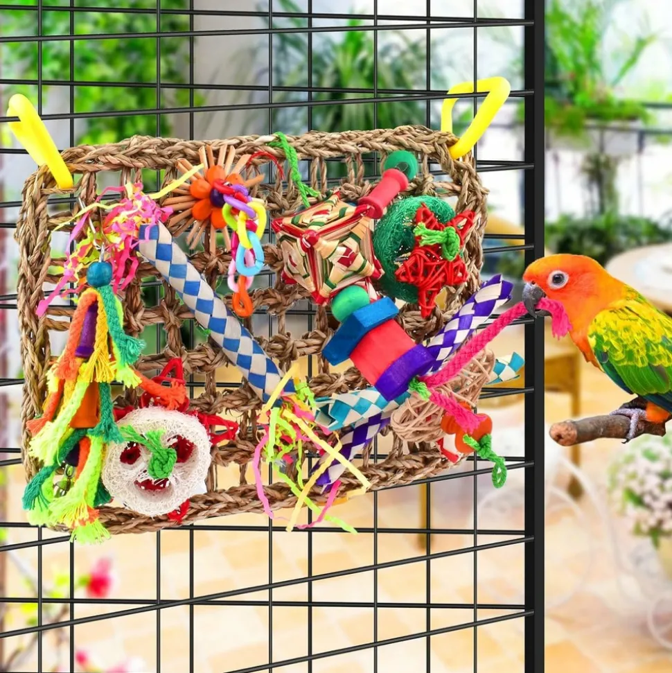 DTOPBUYAGE - Jeux pour oiseaux - matériel de forage, chewing, escalade