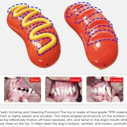 DTOPBUYAGE - Jouet à mâcher pour chiots - en caoutchouc naturel, interactif