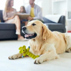 DTOPBUYAGE - Jouet couineur pour chien 3 pièces dtopbuyage