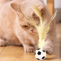 DTOPBUYAGE - Jouet de ballon à plumes pour chat (lot de 2)