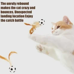 DTOPBUYAGE - Jouet de ballon à plumes pour chat (lot de 2)