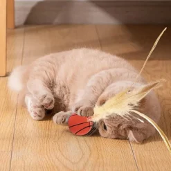 DTOPBUYAGE - Jouet de ballon à plumes pour chat (lot de 2)