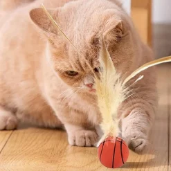 DTOPBUYAGE - Jouet de ballon à plumes pour chat (lot de 2)