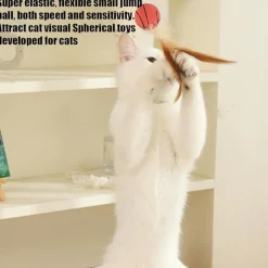 DTOPBUYAGE - Jouet de ballon à plumes pour chat (lot de 2)