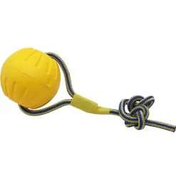 DTOPBUYAGE - Jouet interactif pour chien dtopbuyage eva