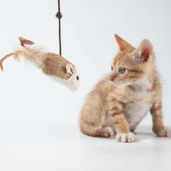 DTOPBUYAGE - Jouet plumes chat bâton bois interactive clochette