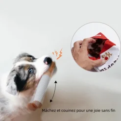 DTOPBUYAGE - Jouet pour chien en forme de cigare dtopbuyage (avec son)
