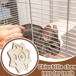 DTOPBUYAGE - Jouet tournant pour chinchillas et rongeurs