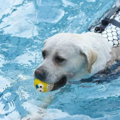 DTOPBUYAGE - Jouets de dentition pour chien - jouets à balles - 4 pièces