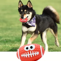 DTOPBUYAGE - Jouets de dentition pour chien - jouets à balles - 4 pièces