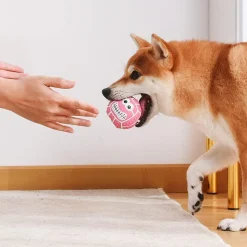 DTOPBUYAGE - Jouets de dentition pour chien - jouets à balles - 4 pièces