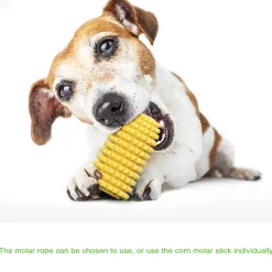 DTOPBUYAGE - Jouets de mâche pour chien en forme de maïs