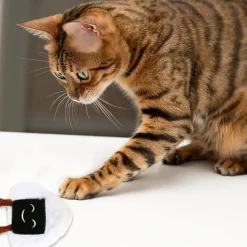 DTOPBUYAGE - Jouets en peluche à l'herbe à chat dtopbuyage