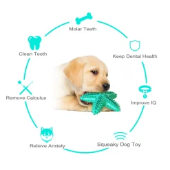 DTOPBUYAGE - Jouets pour chien en forme d'étoile de mer