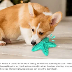 DTOPBUYAGE - Jouets pour chien en forme d'étoile de mer