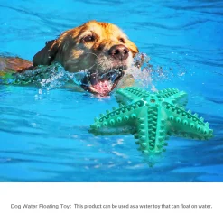 DTOPBUYAGE - Jouets pour chien en forme d'étoile de mer