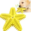 DTOPBUYAGE - Jouets pour chien en forme d'étoile de mer