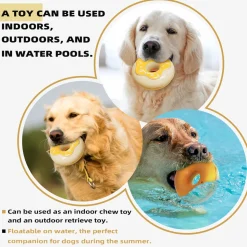DTOPBUYAGE - Jouets pour chien - indestructibles, résistants et interactifs