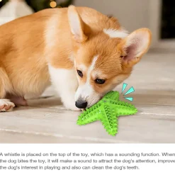 DTOPBUYAGE - Jouets pour chien en forme d'étoile de mer