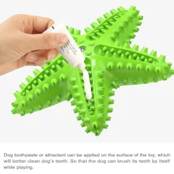 DTOPBUYAGE - Jouets pour chien en forme d'étoile de mer