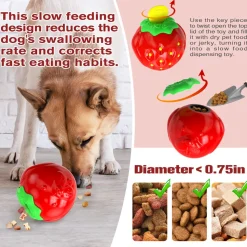 DTOPBUYAGE - Jouets pour chien - distributeur de traitements, puzzle, interactifs