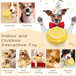 DTOPBUYAGE - Jouets pour mâcher pour chien gâteau d'anniversaire