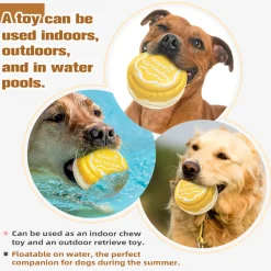 DTOPBUYAGE - Jouets pour mâcher pour chien gâteau d'anniversaire