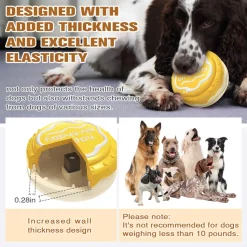 DTOPBUYAGE - Jouets pour mâcher pour chien gâteau d'anniversaire