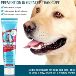 DTOPBUYAGE - Kit dentaire menthe pour chiens