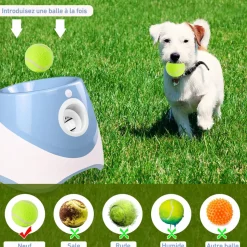 DTOPBUYAGE - Lanceur de balle automatique pour chien interactif