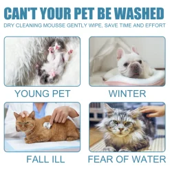 DTOPBUYAGE - Mousse de bain sec pour animaux de compagnie, 60 ml - dtopbuyage