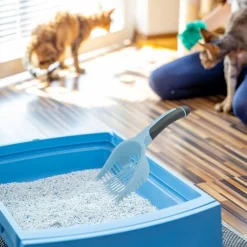 DTOPBUYAGE - Pelle litière portable pour chats et chiens