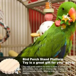 DTOPBUYAGE - Perchoir en bois pour cage d'oiseaux jouet