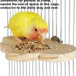 DTOPBUYAGE - Perchoir en bois pour cage d'oiseaux jouet