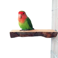 DTOPBUYAGE - Perchoirs bois naturel oiseaux moyen