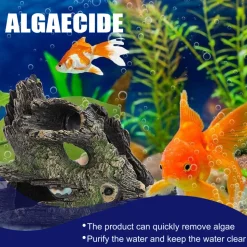 DTOPBUYAGE - Produit anti - algues, 50 g - dtopbuyage