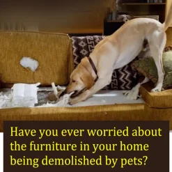 DTOPBUYAGE - Spray amer anti - mastication pour animaux de compagnie, 50 ml - dtopbuyage