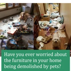 DTOPBUYAGE - Spray anti - mastication pour animaux de compagnie, 30 ml - dtopbuyage