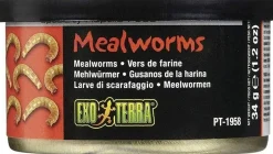EXO TERRA - Alimentation vers de farine reptiles et amphibiens 34 g