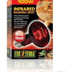 EXO TERRA - Ampoule chauffante pour terrarium - - basking spot - chaleur infrarouge - 100w