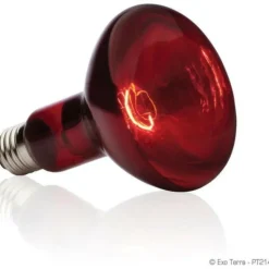 EXO TERRA - Ampoule chauffante pour terrarium - - basking spot - chaleur infrarouge - 100w