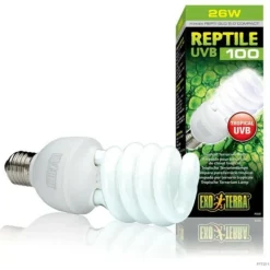 EXO TERRA - Ampoule fluocompacte uvb pour terrarium - - reptile uvb 100 - climat tropical et subtropical 26w