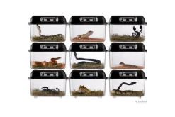 EXO TERRA - Boite d'élevage - breeding box - large - boîte de transport ou d'élevage pour reptiles (lézards, serpents, tortues), amphibiens