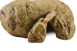 EXO TERRA - Cachette reptile grotte tres grand