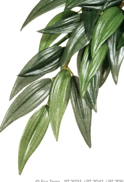 EXO TERRA - Plantes rainforest à suspendre feuillage ruscus grand