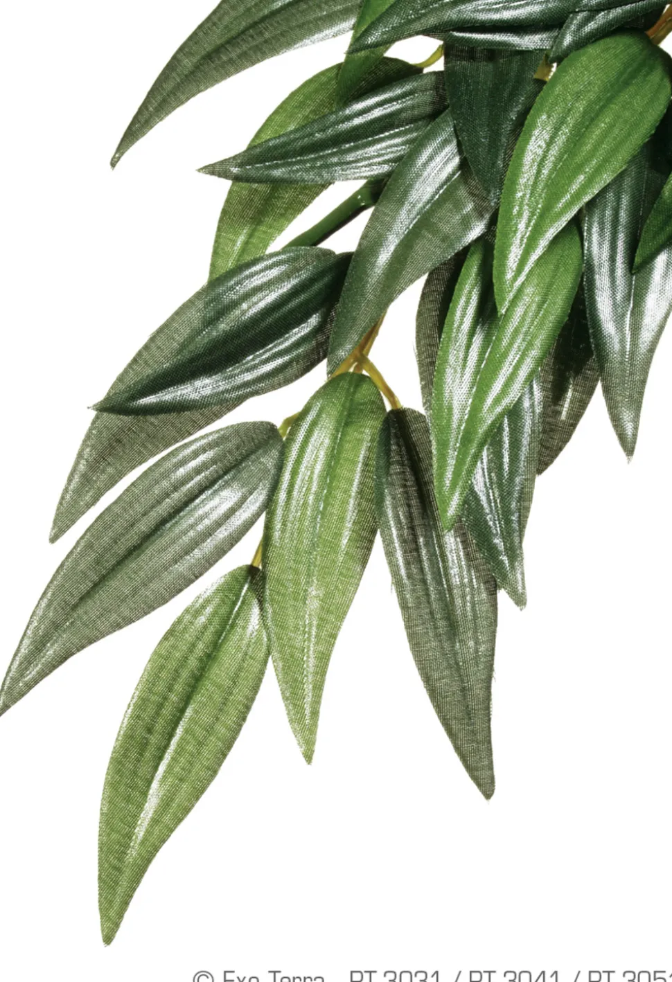 EXO TERRA - Plantes rainforest à suspendre feuillage ruscus grand