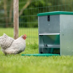 FEEDOMATIC - Mangeoire renforcée 12 kg, anti-rats pour 6 poules