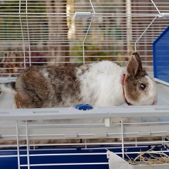 FERPLAST - Clapier barn 100 96x57x73 cm gris