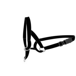 FLAMINGO - Harnais de dressage de tête museliere- noir xs - pour chien